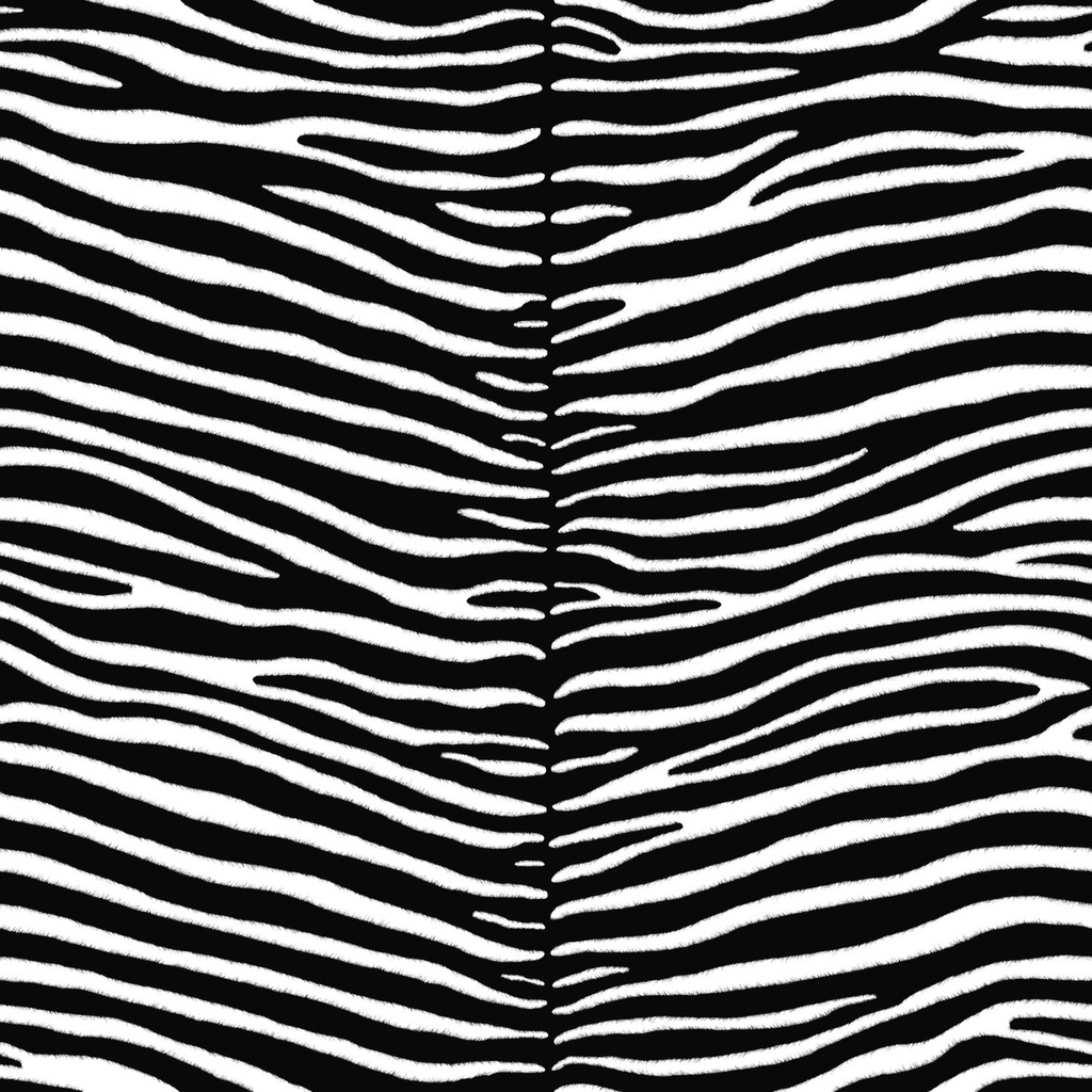 Papel tapiz zebra blanco y negro 154136807 154-136807