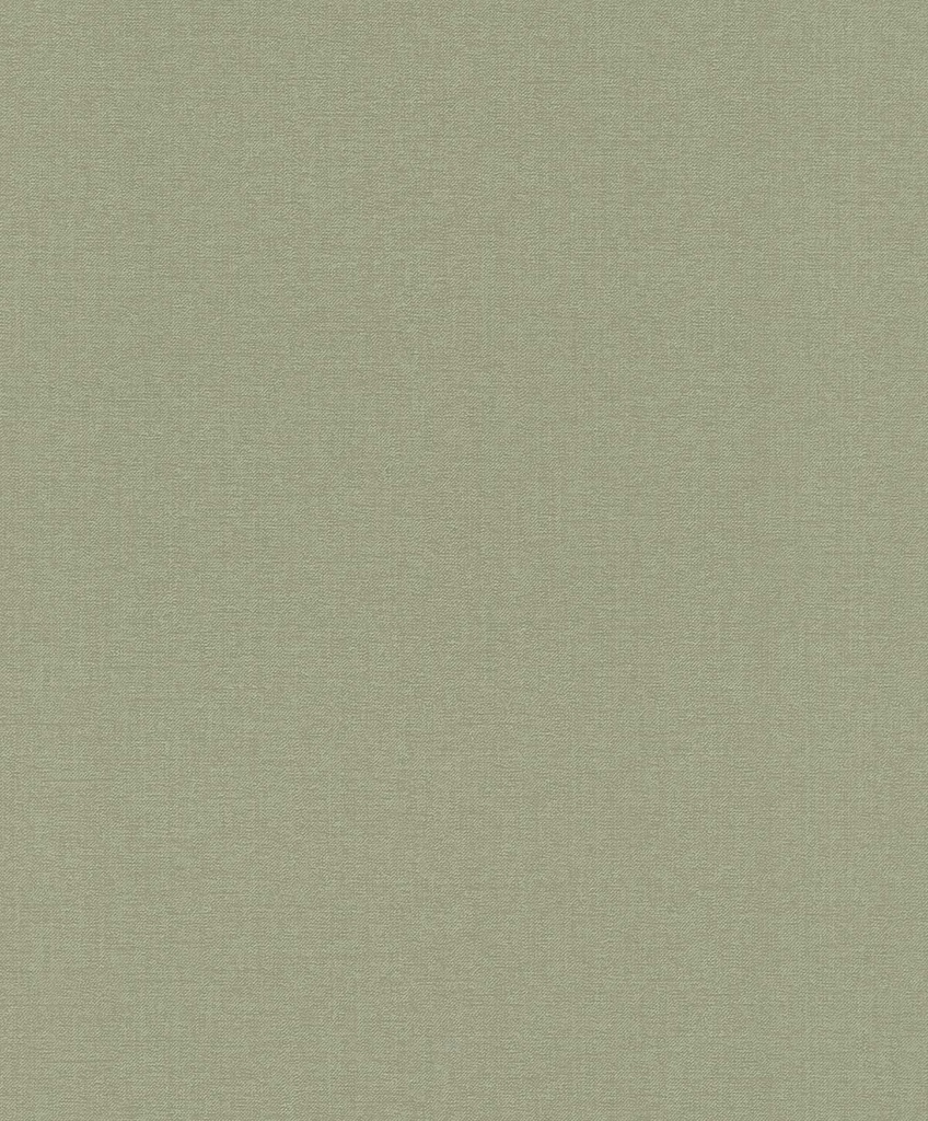 Papel Tapiz EMIL & HUGO Bloomsbury CANVAS GREEN 302256