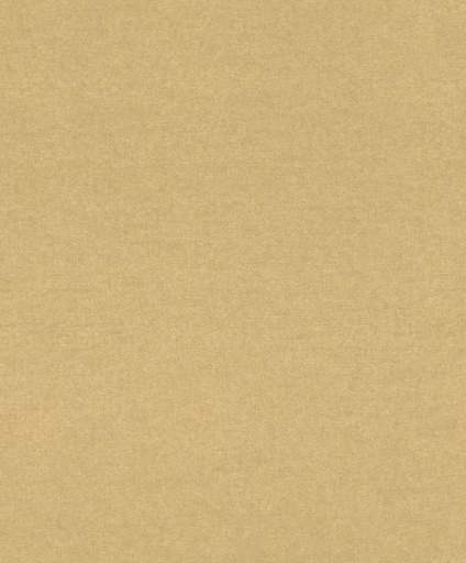 [297644] Papel Tapiz Emil & Hugo Colección Plains GOLD 297644